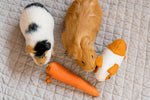 Load image into Gallery viewer, Elliot:  Guinea pig sewing pattern

